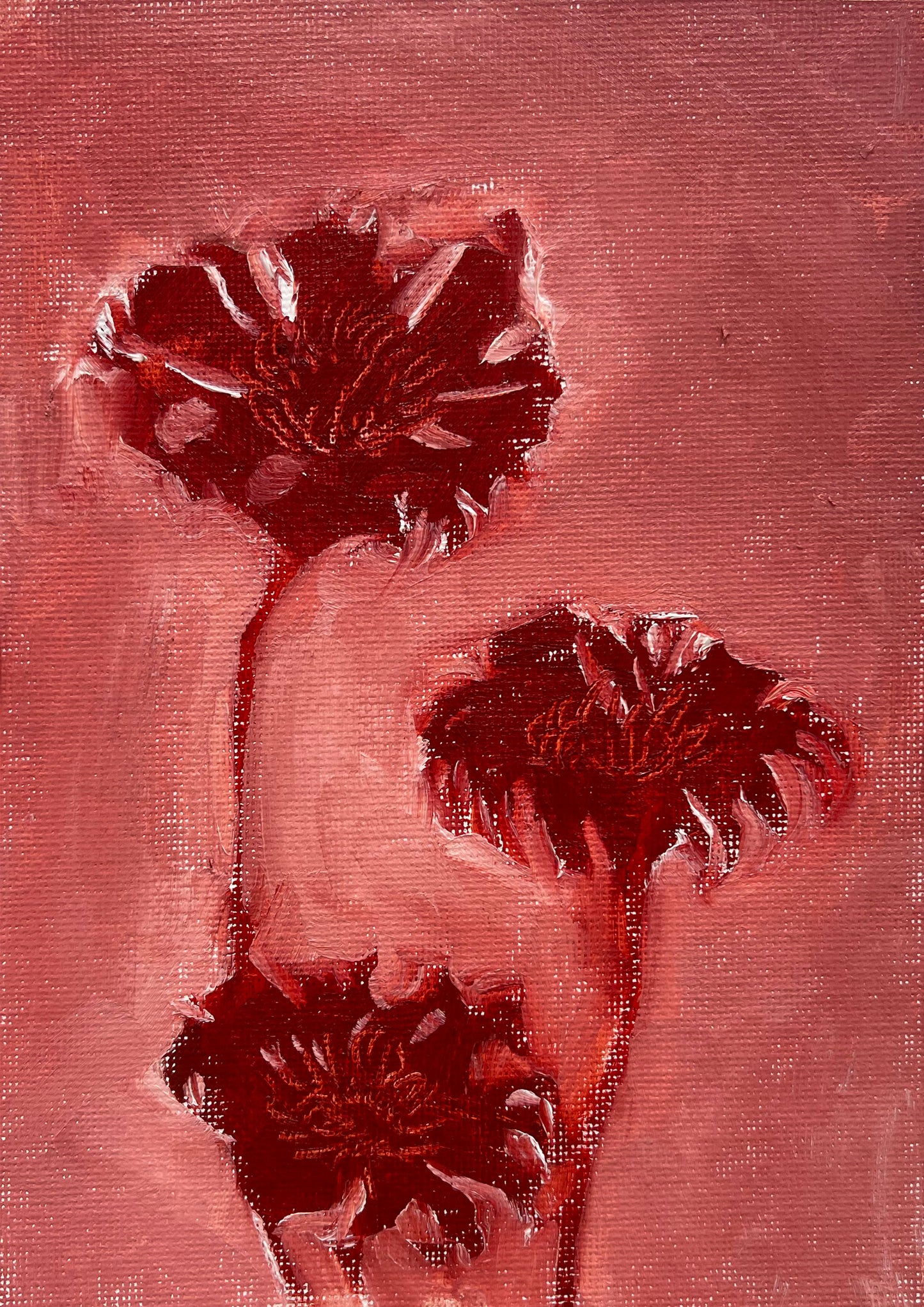 Red Flower (study)